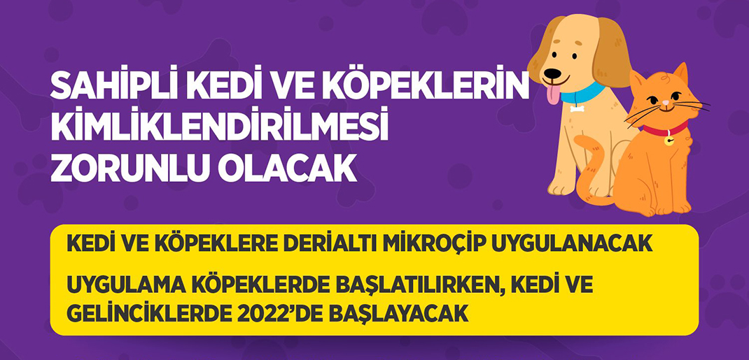 SAHİPLİ KEDİ VE KÖPEKLERİN KİMLİKLENDİRİLMESİ ZORUNLU OLACAK